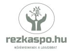 Egyedi méretek